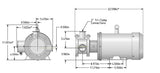 Sanitary Stainless Steel Flexible Impeller ( Washdown motor)
